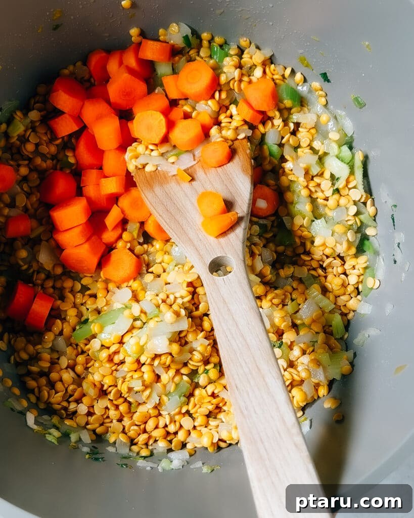 Hearty Ham and Lentil Soup 4 Steps of making ham and lentil soup recipe.