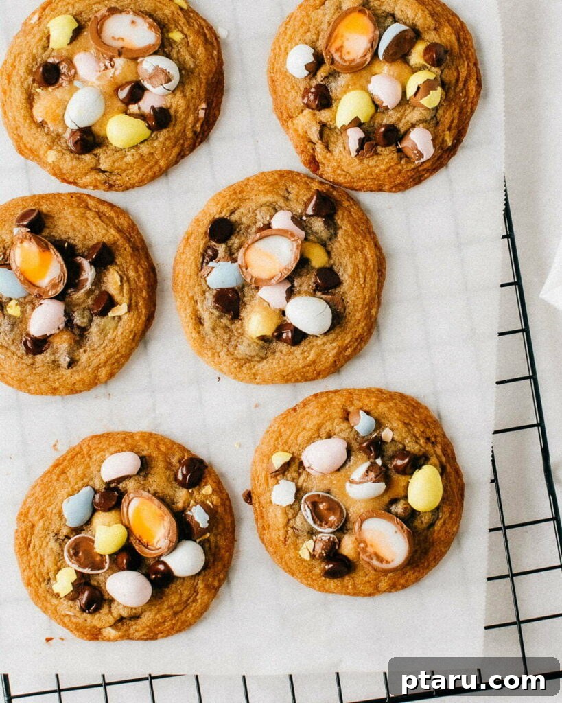 Speckled Cadbury Mini Egg Cookies 2 Delicious Cadbury Mini Egg Cookies freshly baked with added mini eggs on top