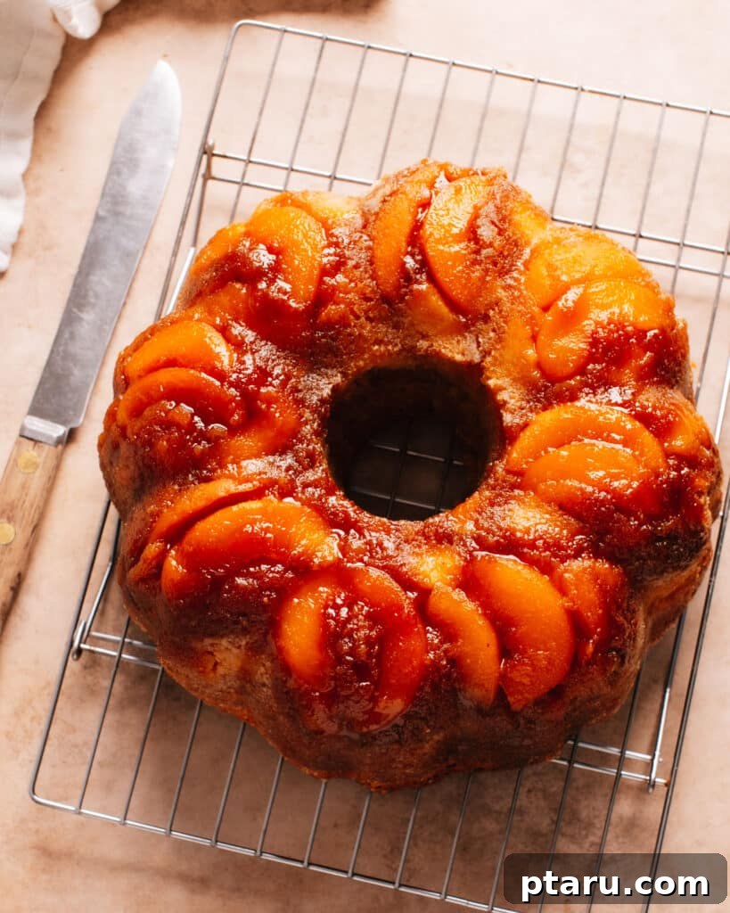 Grandma's Peach Cobbler Pound Cake 2 Delicious slice of Peach Cobbler Pound Cake with caramelized topping