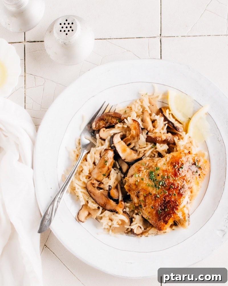 Zesty Lemon Chicken with Mushroom Rice Bake 3 Lemony Mushroom and Rice Bake