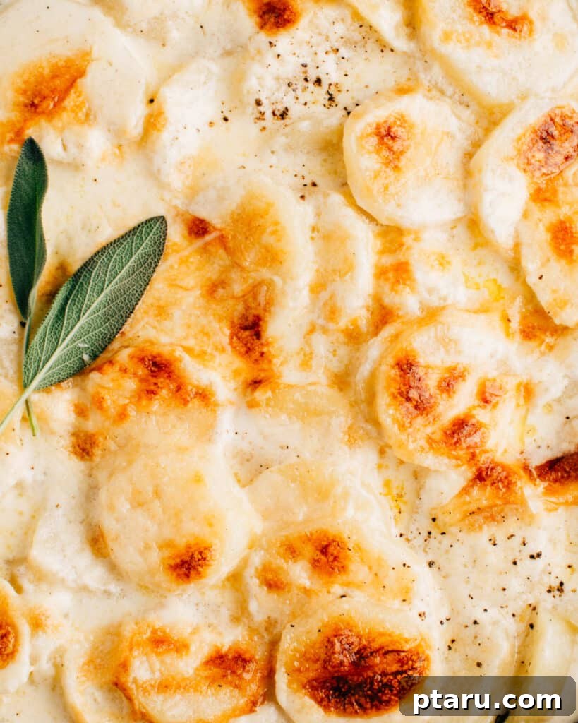 Creamy Gluten-Free Potato Gratin 6 The gluten-free au gratin potatoes simmering on the stovetop, reducing the creamy sauce before baking.