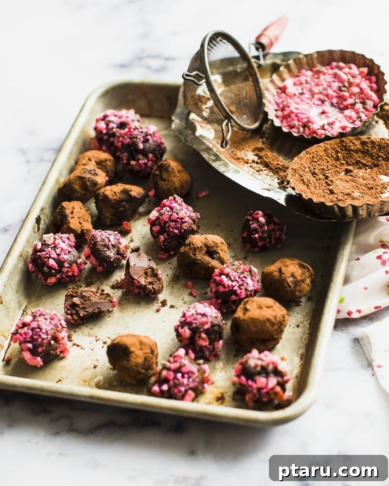 20 Deliciously Easy Chocolate Christmas Desserts 8 Exquisitely crafted Chocolate Truffles, beautifully decorated with festive candies, perfect for holiday gifting or indulgence.