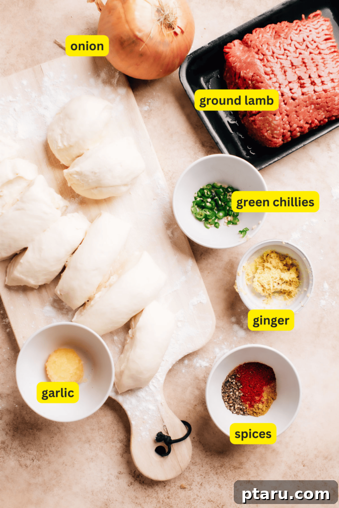 Ingredients for a keema naan recipe, including prepared dough, finely diced onion, vibrant green chillies, fresh ginger, minced garlic, and rich ground lamb.