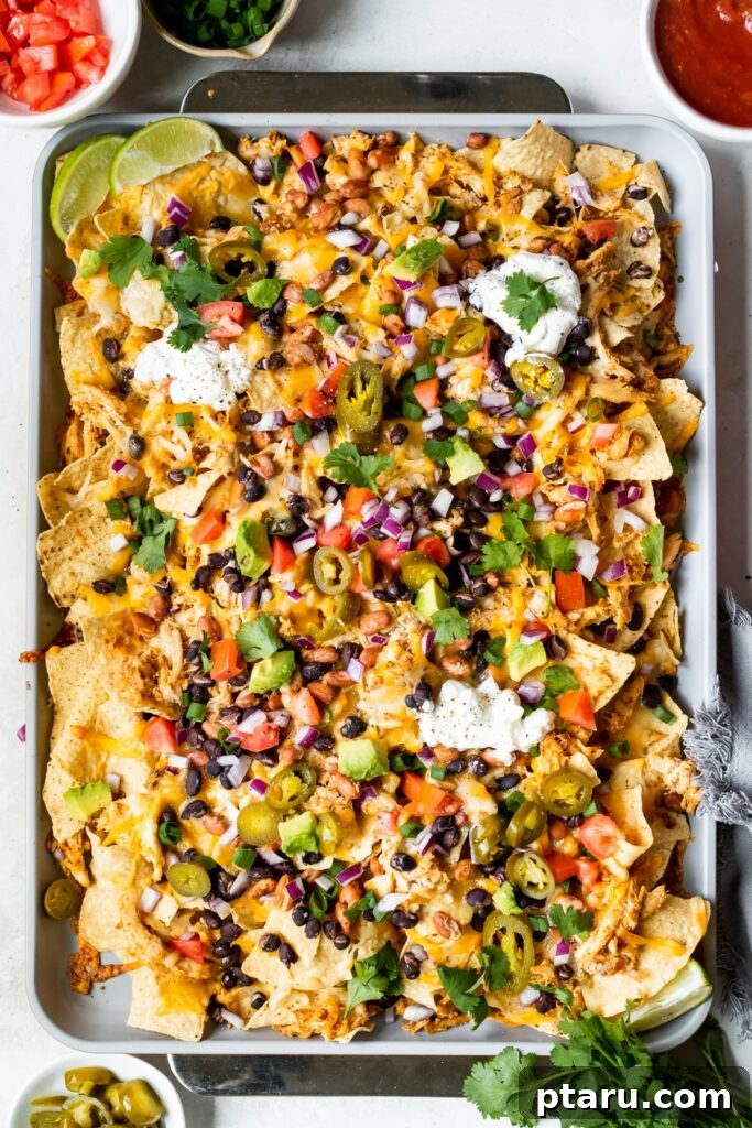 Epic Game Day Nachos: 15 Simple Recipes for Your Crowd 3 Loaded chicken nachos baked on a sheet pan, ready for serving.