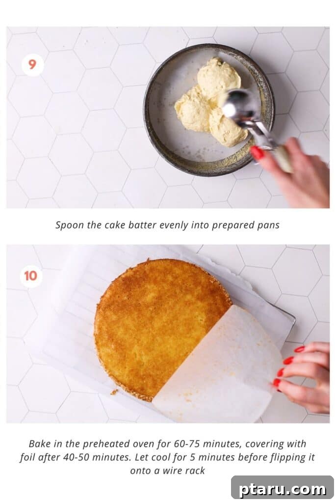 Zesty Lemon Dream Cake 9 Visual instructions demonstrating how to evenly distribute cake batter into round baking pans before placing them into a pre-heated oven for baking.
