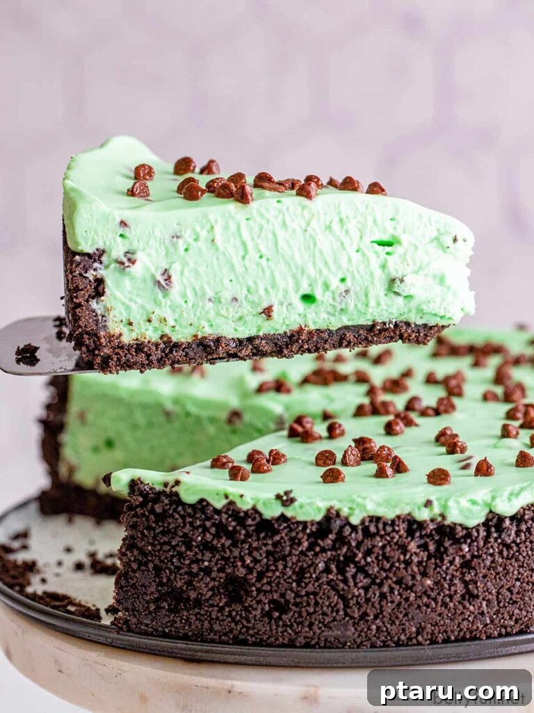 Get Lucky with These Green St. Patrick's Day Desserts 15 A perfectly portioned slice of mint chocolate chip no-bake cheesecake, showcasing its creamy green filling studded with chocolate chips and a dark, crumbly Oreo crust, poised delicately on a spatula.