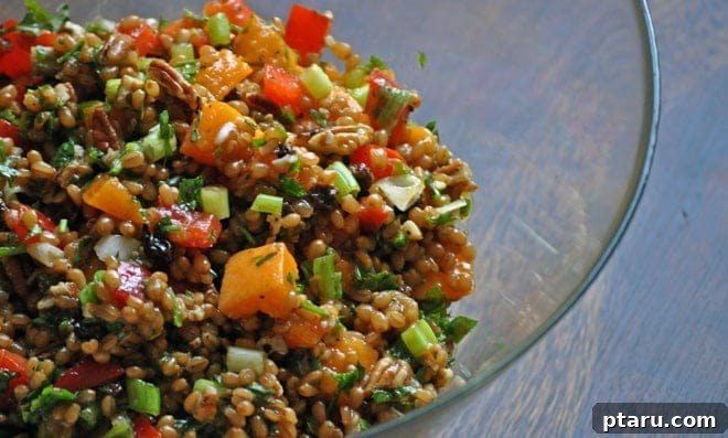 Fresh Wheat Berry Salad with Apricots and Scallions 2 A vibrant bowl of Wheat Berry Salad with Apricots and Green Onions, perfect for summer.