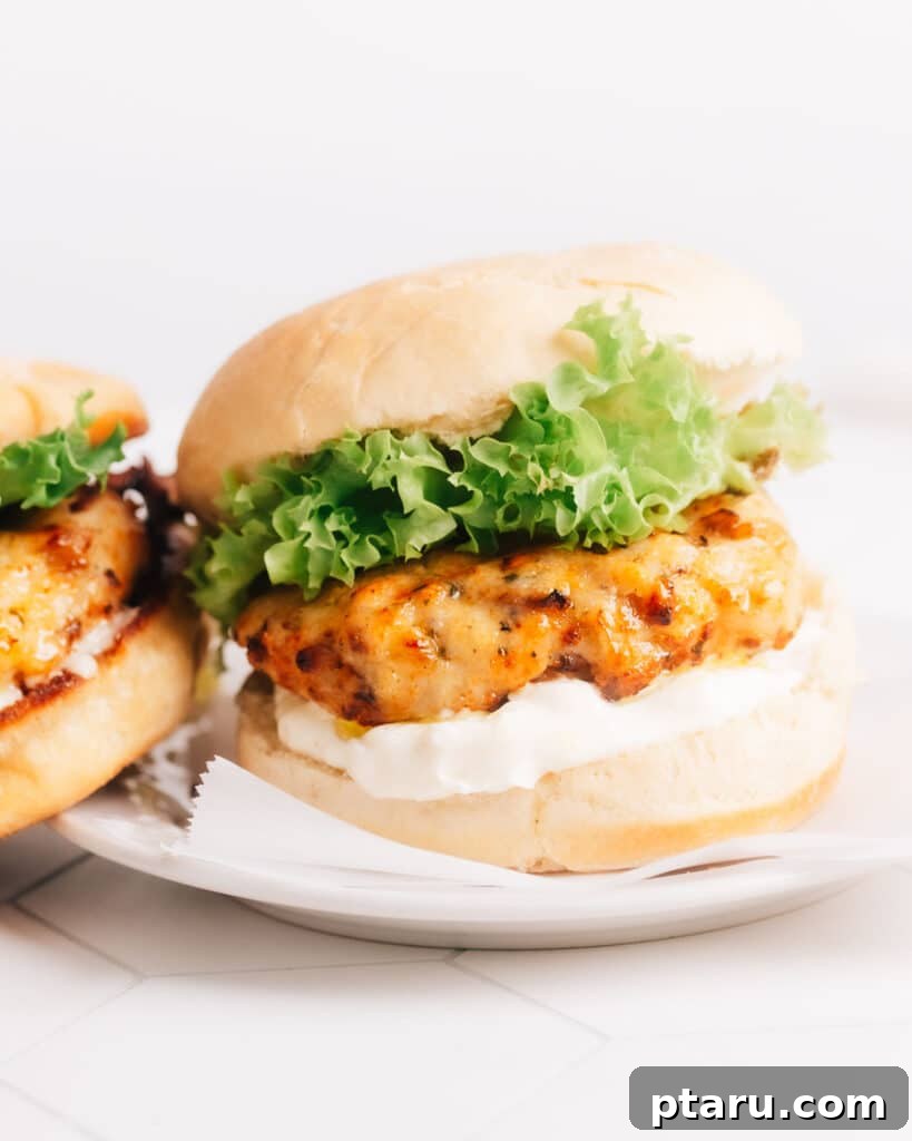 Best Air Fryer Turkey Burgers 10 img 20800 9