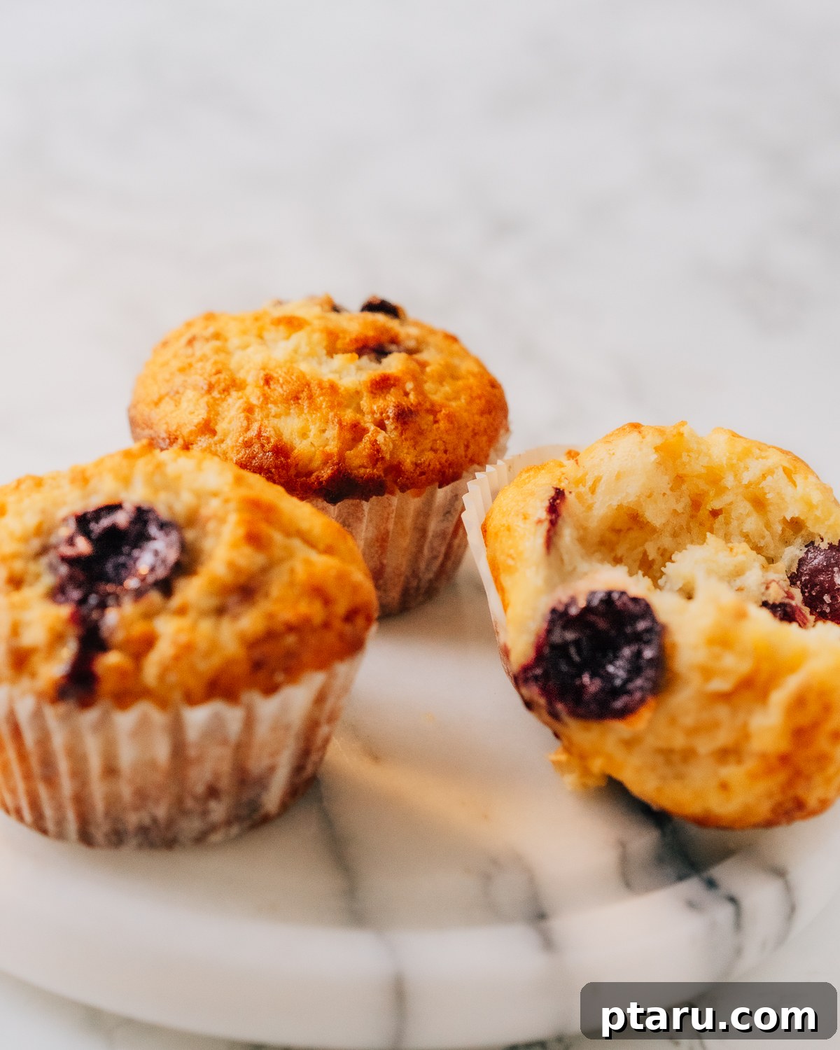 Luscious Cherry Muffins 2 Sour Cherry Muffins on a plate, showcasing their fluffy texture and juicy cherry pieces.
