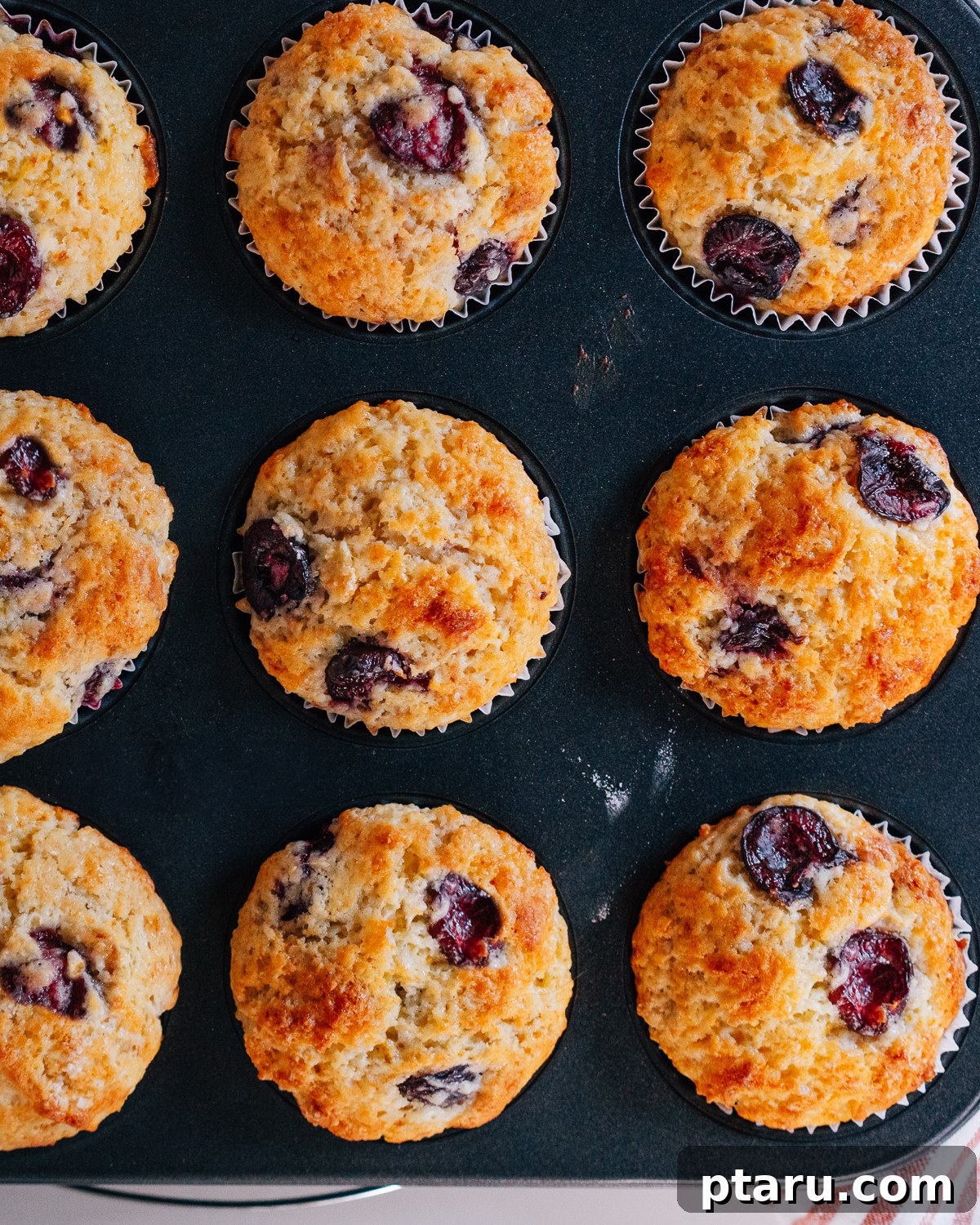 Luscious Cherry Muffins 8 Freshly baked Cherry Muffins cooling in a muffin pan.