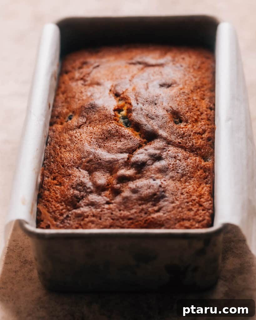 Buttery Blueberry Bliss Cake 4 A beautifully baked blueberry pound cake on a wire rack, ready for cooling.