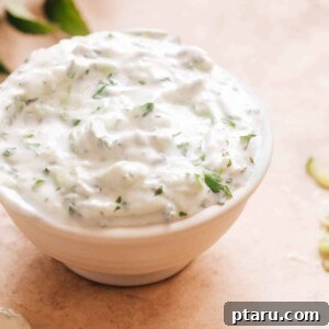 Indian Yogurt Sauce