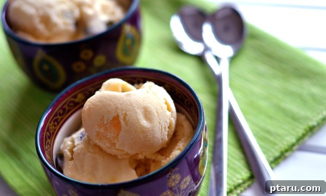 Exotic Mango Kulfi 3 Ingredients for Mango Kulfi laid out on a kitchen counter