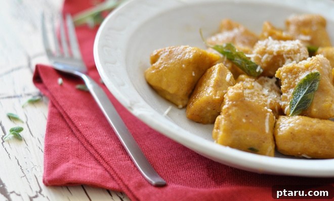 Harvest Gold Gnocchi 7 Finished pumpkin gnocchi with brown butter and sage, garnished with cheese, in a pan.