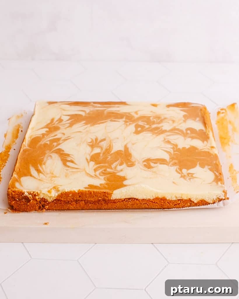 Easy Pumpkin Cheesecake Bars 7 Baked swirled pumpkin cheesecake bars, ready for serving.