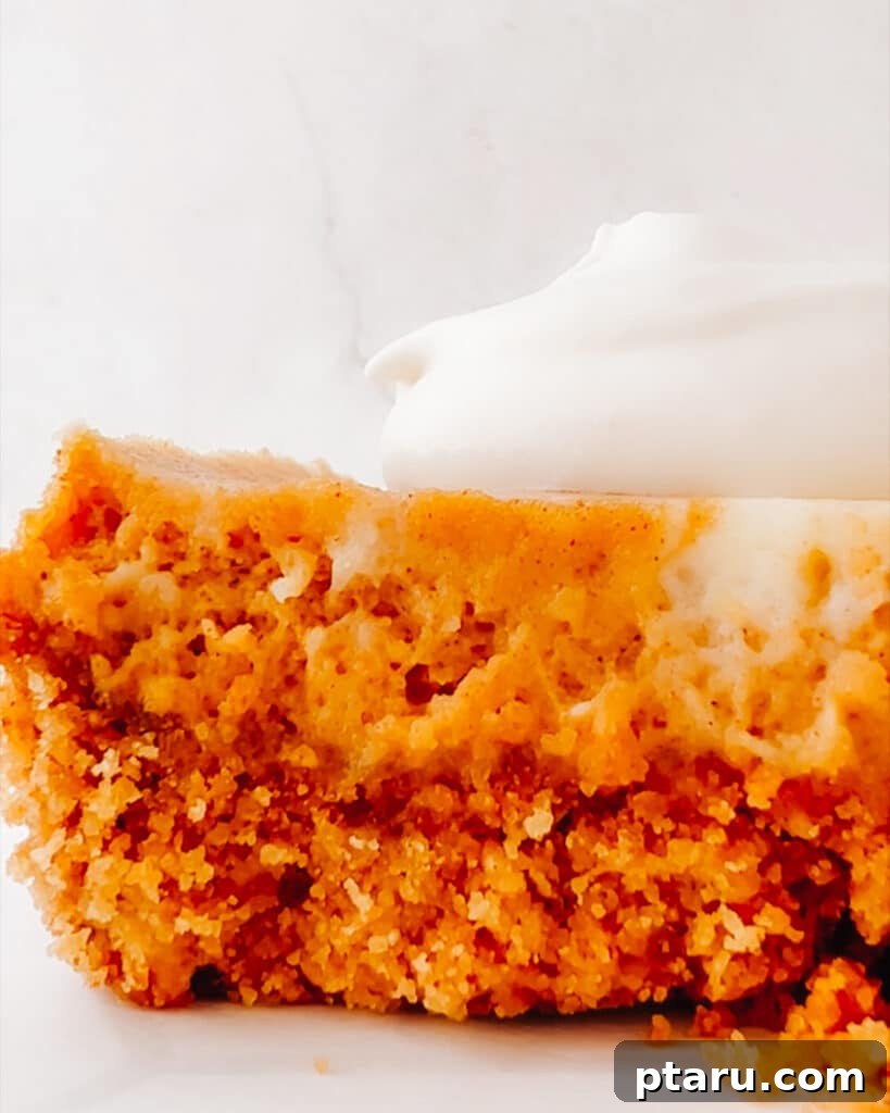 Easy Pumpkin Cheesecake Bars 8 A single Pumpkin Cheesecake Bar topped with whipped cream.