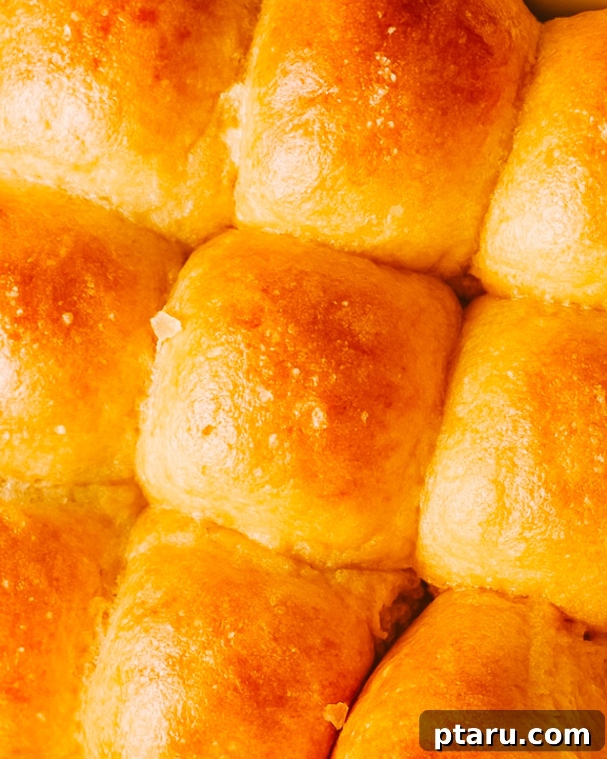 Golden Pumpkin Dinner Rolls 5 Freshly baked pumpkin dinner rolls cooling on a wire rack, ready to be served.