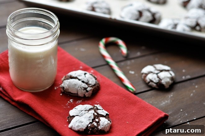 Decadent Chocolate Snow Bites 3 Three chocolate snowball cookies on a vibrant red napkin, accompanied by a refreshing glass of milk, showcasing their snowy tops and rich texture.