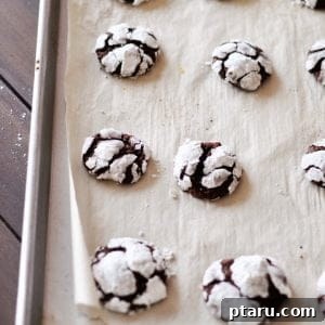 Decadent Chocolate Snow Bites 6 Chocolate Snowball Cookies baked on parchment-lined baking sheet, showcasing their beautiful snowy crackle.