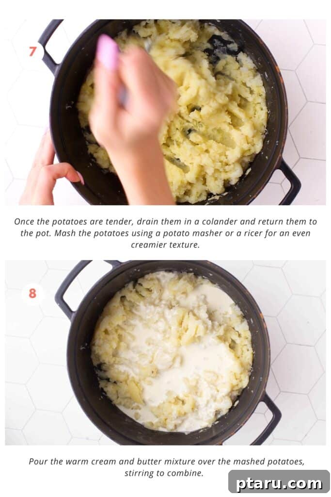 The Only Mashed Potatoes Recipe Youll Ever Need 7 Tender, drained potatoes being mashed with a potato masher, followed by the warm cream and butter mixture being poured over and stirred in.