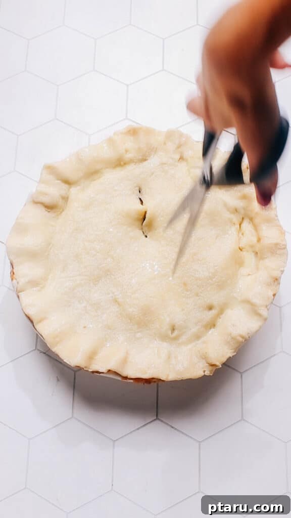 Homestyle Beef & Veggie Pie 12 Cutting steam vents in the beef pot pie crust before baking.