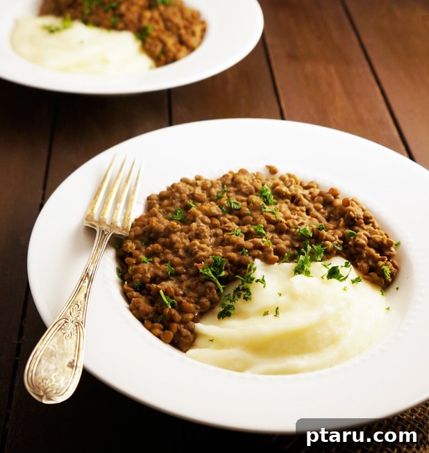 Rich Lentil Stew with Creamy Potato Mash 4 A close-up of creamy lentils simmering gently in a pot on the stovetop.