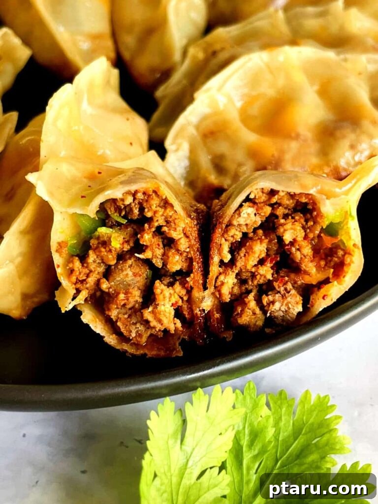 Over 35 Mouthwatering Leftover Taco Meat Recipes 20 Dumplings stuffed with leftover taco meat