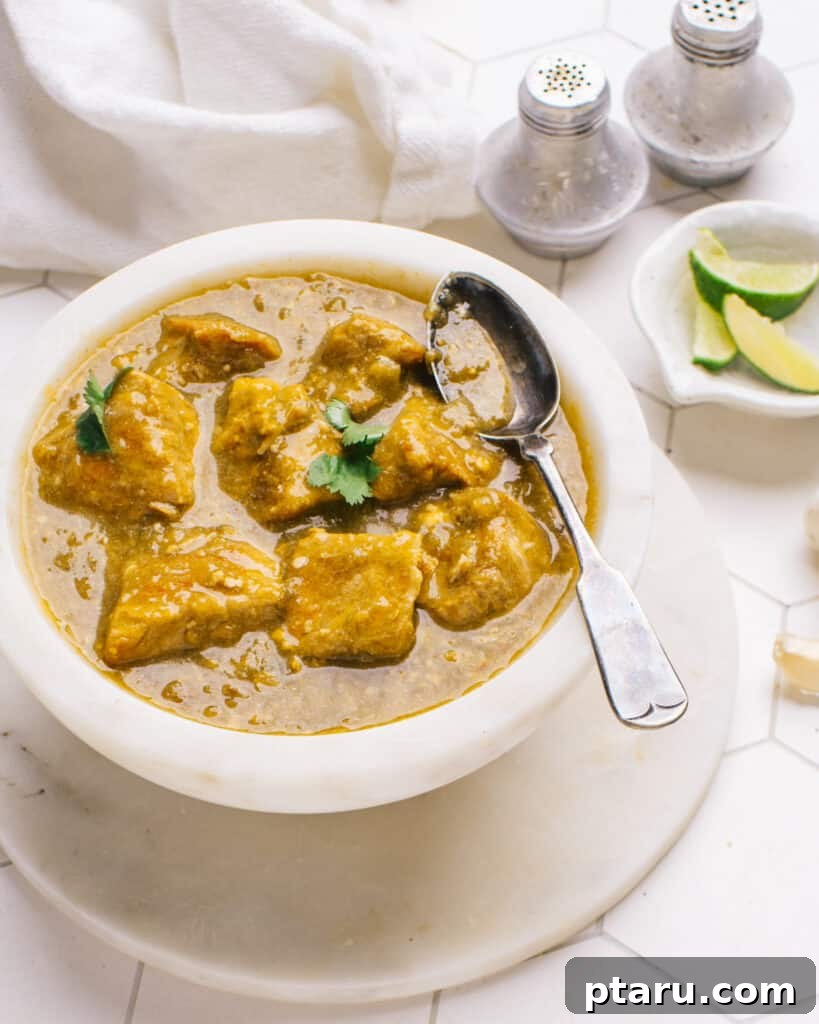 Award-Winning Pork Green Chili Recipe 2 Green Chile (pork chile verde) in a bowl with a spoon, ready to be enjoyed.