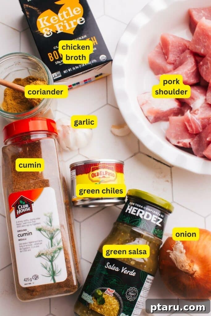 Award-Winning Pork Green Chili Recipe 3 Ingredients for Green Chili (Chile Verde) on a tiled countertop include chicken broth, pork shoulder, garlic, cumin, green chiles, salsa, coriander, and an onion.