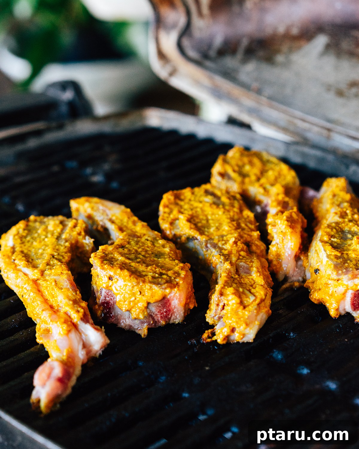 Tandoori Lamb Chops 5 Grilling Indian Lamb Chops.