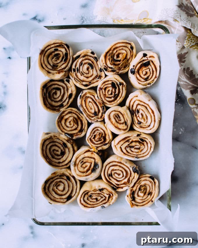 Sweet Cinnamon Raisin Swirls 9 Freshly baked cinnamon rolls in a baking pan, golden brown and ready for frosting.