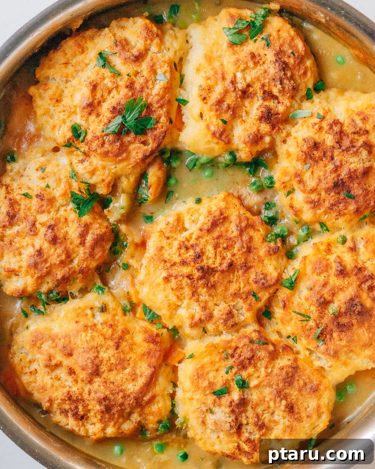 Chicken and Biscuit Pot Pie 2 A steaming Dutch oven filled with Chicken Stew with golden, fluffy Biscuit Topping, ready to be served. A classic comfort food dish.