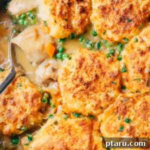 A heartwarming image of Chicken Stew with Biscuit Topping, served fresh from the oven.