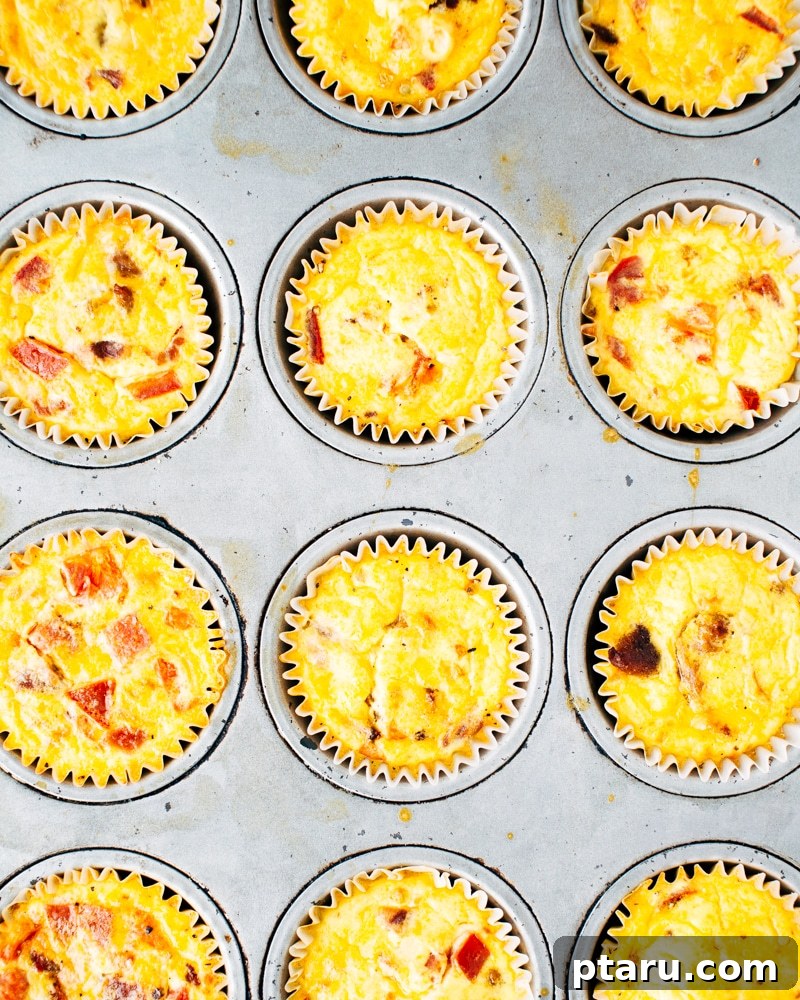 Rise and Shine: 23+ Sausage and Egg Breakfast Ideas 6 A plate of delightful Mini Quiches, perfectly portioned for kids or quick snacks, showing their golden crusts and savory fillings.
