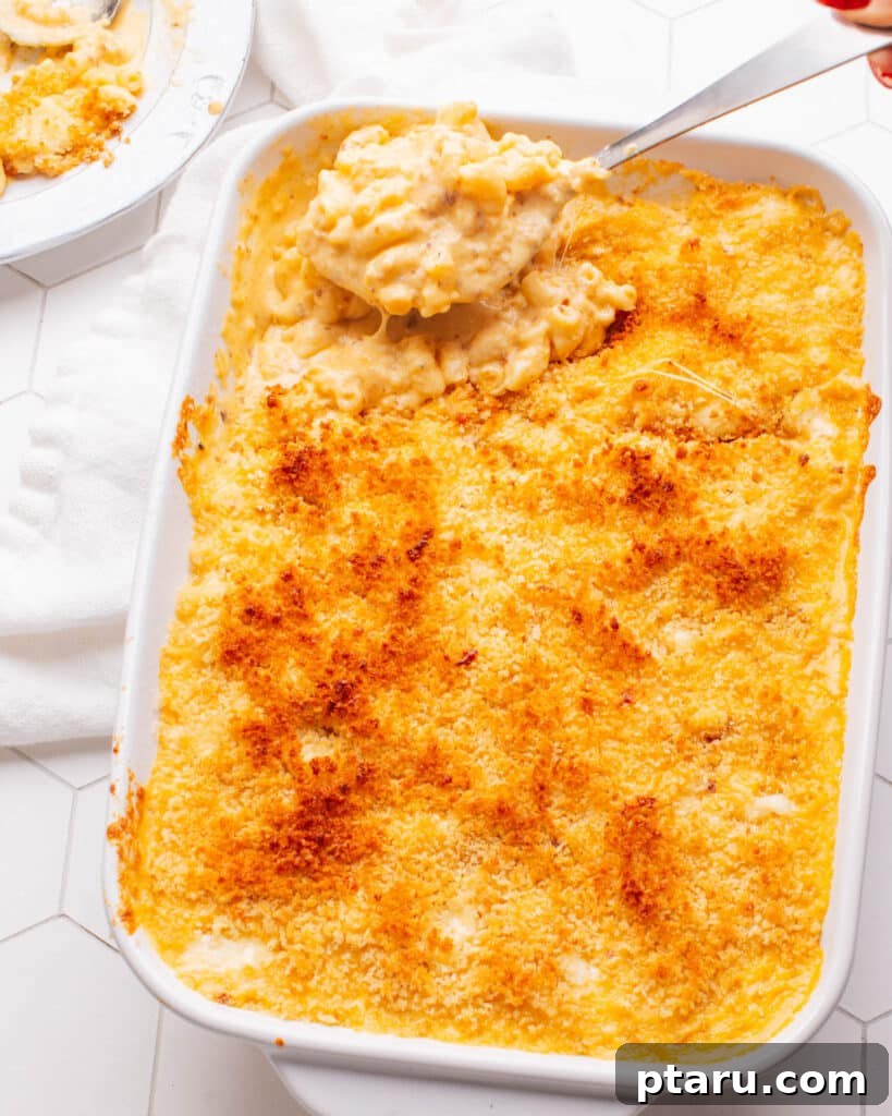 Perfect Pairings 21 Delicious Sides for Mac and Cheese 2 Old Fashioned Baked Macaroni and Cheese with a spoon scooping some out.