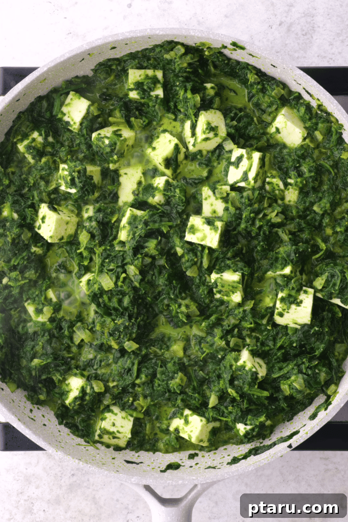 Creamy Spinach and Paneer Delight 9 Close up of saag paneer.