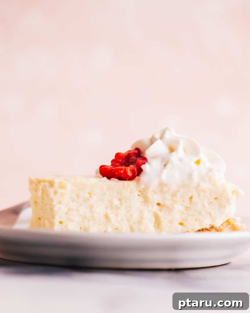 The Ultimate Philadelphia Cheesecake Guide 12 Philadelphia cheesecake slice garnished with fresh whipped cream and vibrant raspberries