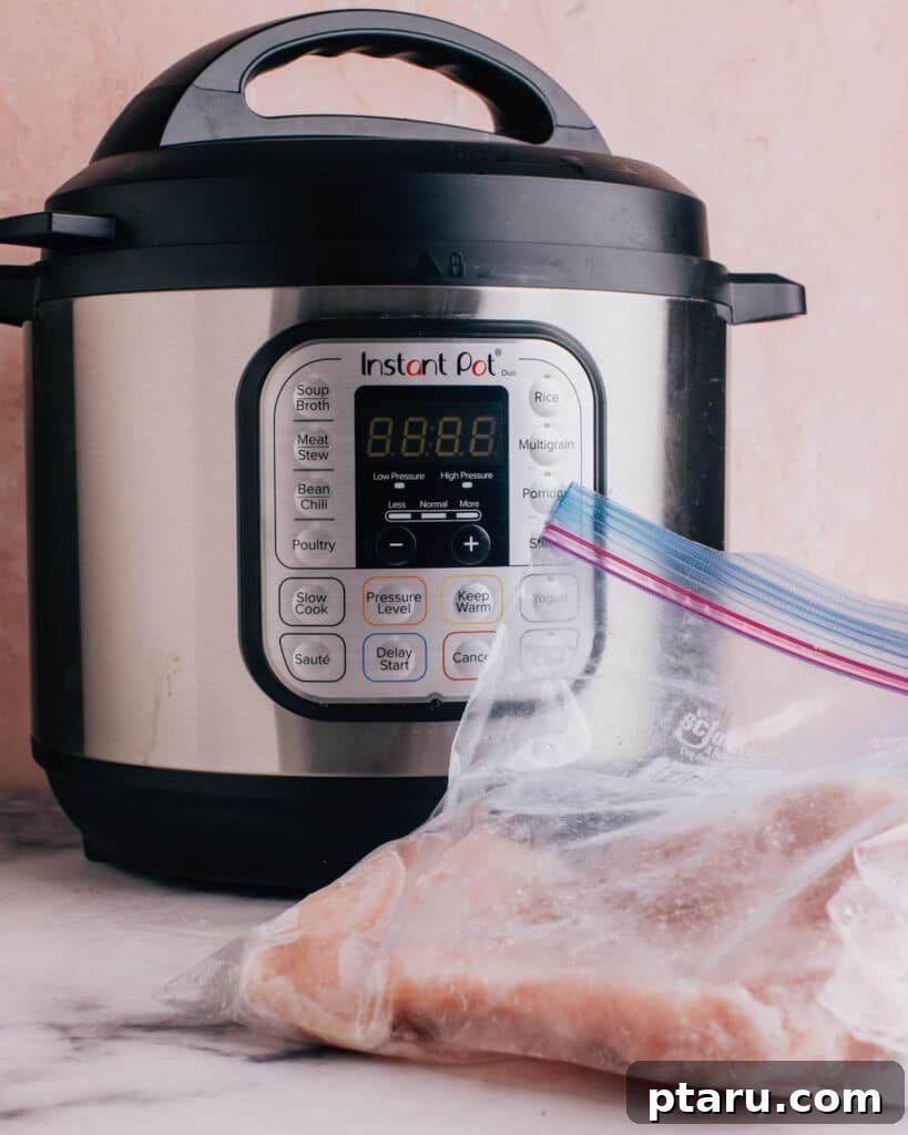 The Ultimate No-Thaw Instant Pot Chicken Recipe 3 Ingredients laid out for Instant Pot frozen chicken recipe including chicken breasts, water, and spices.