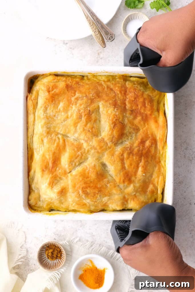 Golden Samosa Bake 9 A perfectly baked Samosa Pie, golden brown and inviting, with a delicious crispy crust, ready to be enjoyed.