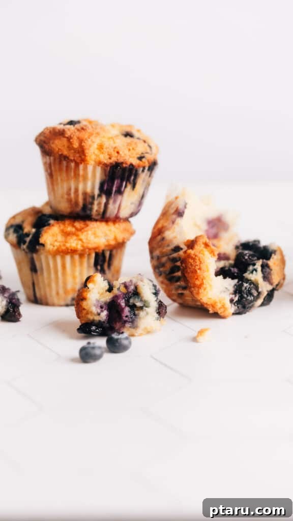Creamy Lemon Blueberry Muffins 2 Stack of fluffy lemon blueberry sour cream muffins with one muffin halved, showing the moist interior and juicy blueberries