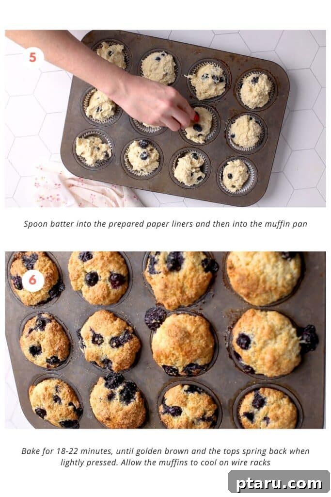 Creamy Lemon Blueberry Muffins 6 Muffin batter being spooned into a 12-cup muffin pan, which is lined with paper cups, ready for baking. The pan is then placed in a hot oven to bake until the muffins are golden brown and perfectly risen, showcasing their bakery-style appearance.