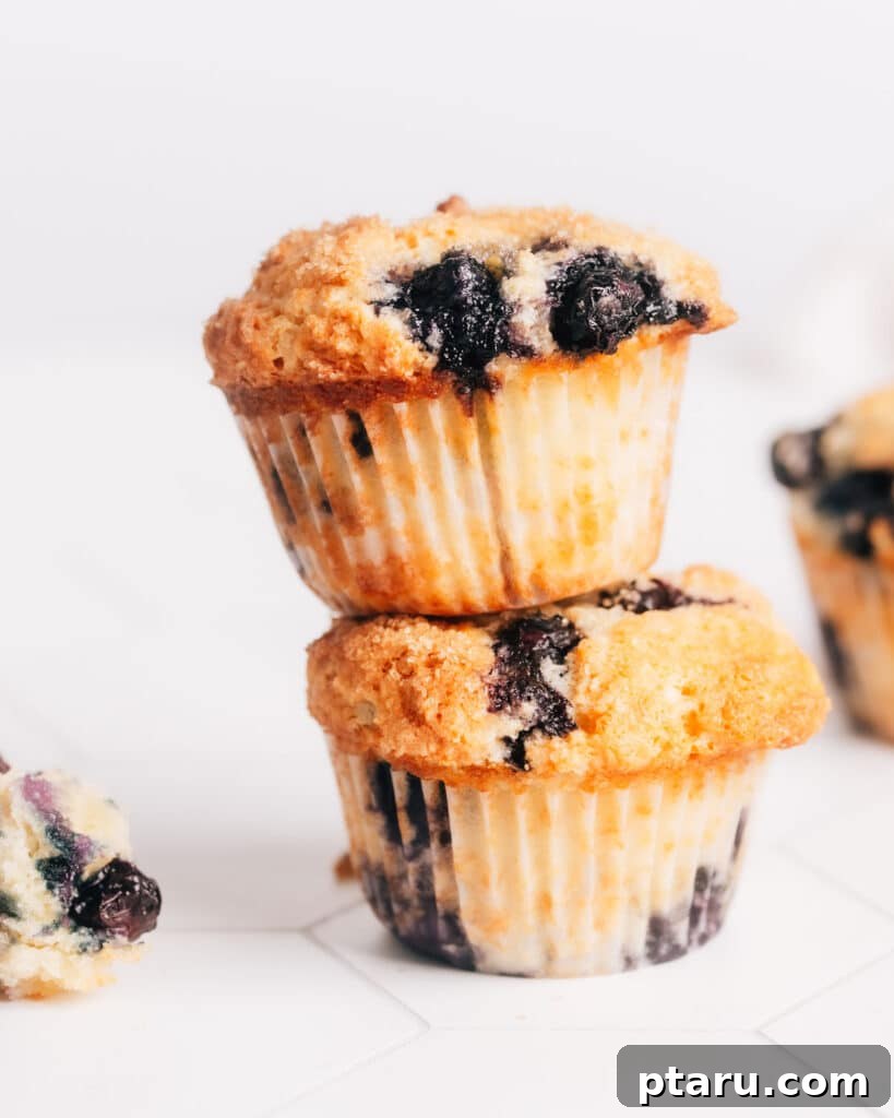 Creamy Lemon Blueberry Muffins 7 Stack of two perfectly baked Lemon Blueberry Sour Cream Muffins, showcasing their golden tops, plump blueberries, and tender texture, ready to be enjoyed as a delightful breakfast or snack.