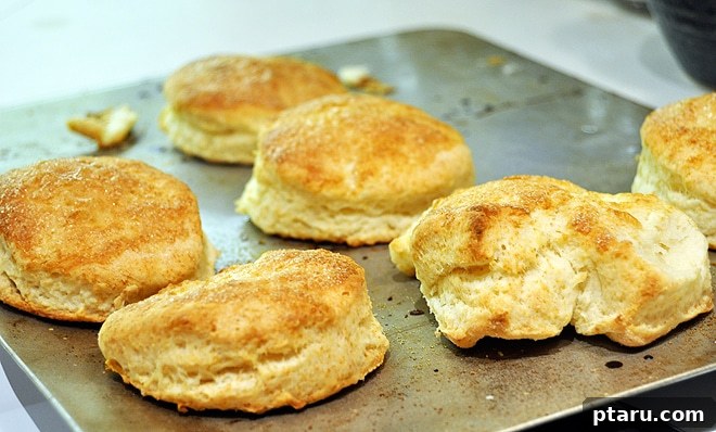 Sweet Summer Strawberry Shortcake 4 Freshly baked flaky biscuits cooling on a wire rack, ready to be transformed into delicious strawberry shortcake.
