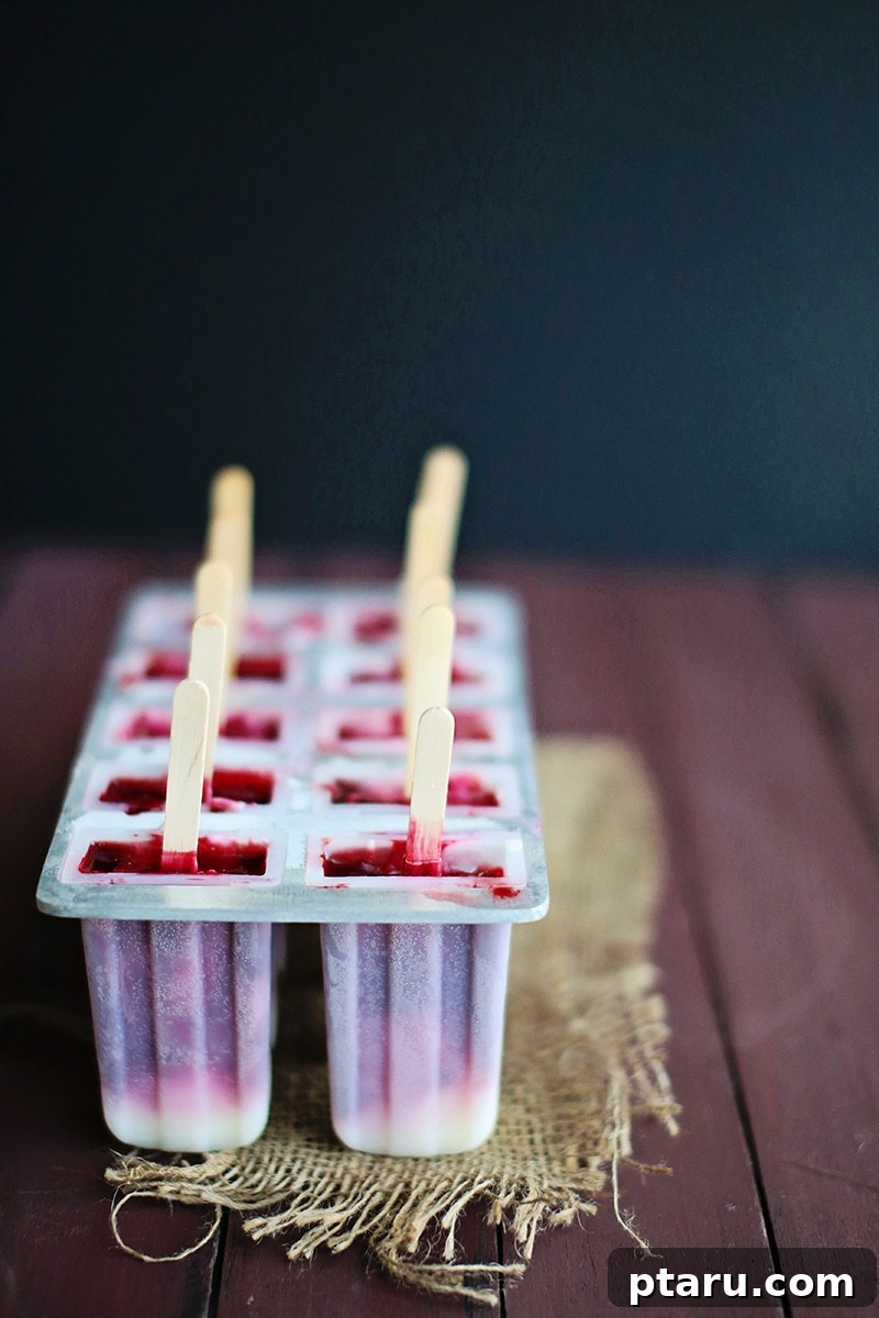 Creamy Blackberry Swirl Fro-Yo Pops 3 A bountiful basket filled to the brim with freshly picked, sun-ripened raspberries, glistening and ready for consumption.