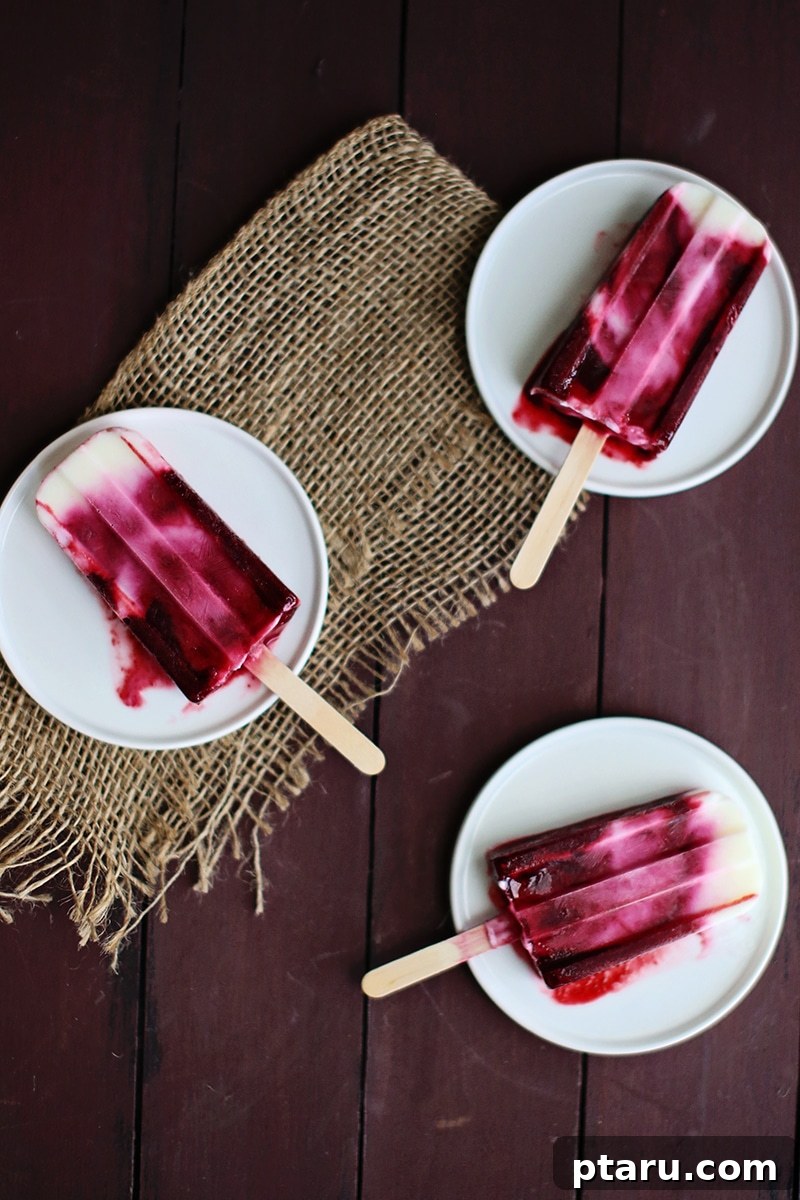 Creamy Blackberry Swirl Fro-Yo Pops 5 A single homemade raspberry yogurt popsicle being pulled out of its mold, showcasing the beautiful two-toned swirl and its refreshing appeal.