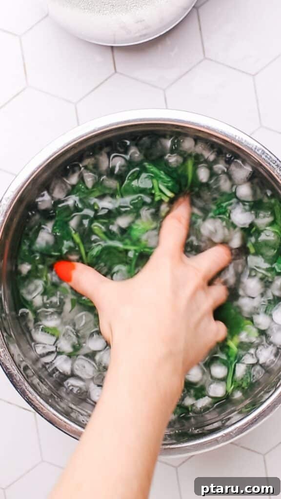 Creamy Spinach Paneer 10 Soaking blanched spinach in cold water for a vibrant green color