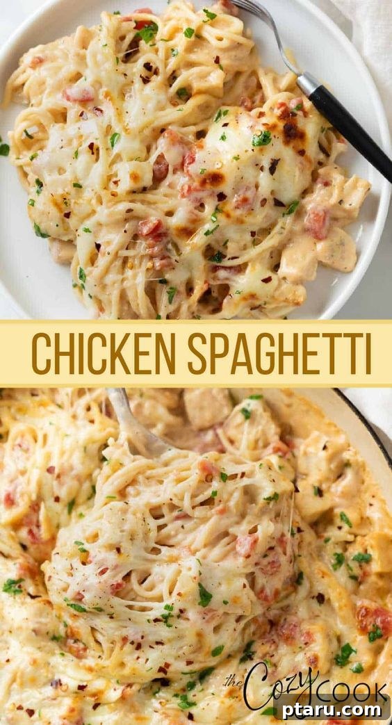 Cozy Winter Comfort: 33 Hearty Casserole Creations 27 Comforting Chicken Spaghetti Casserole, a creamy and cheesy pasta bake.