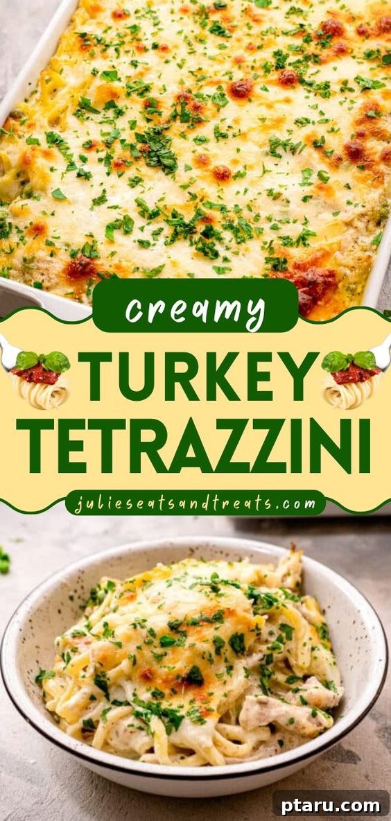 Cozy Winter Comfort: 33 Hearty Casserole Creations 29 Creamy and golden Turkey Casserole Tetrazzini, perfect for holiday leftovers.
