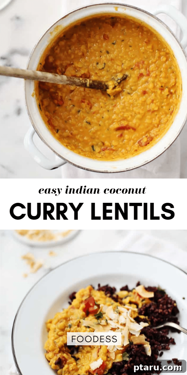 Creamy Coconut Lentil Curry 6 A Pinterest-friendly vertical image of the Coconut Curried Lentils, ideal for sharing on social media.