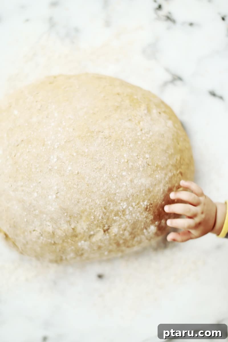 Hearty Oat & Whole Wheat Loaf 4 A small child, Theo, reaching curious fingers towards the risen bread dough.